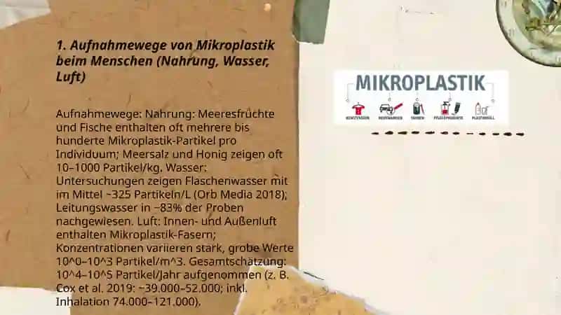 Mikroplastik Gefahr für die Gesundheit 3
