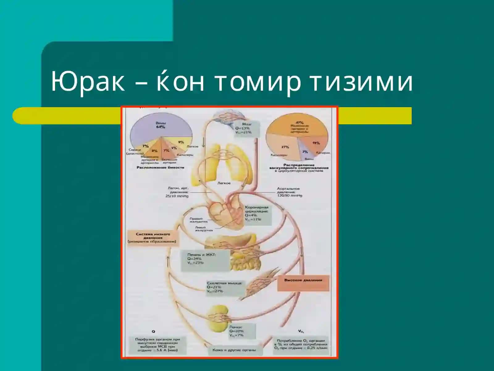 Томирлар тизими патофизиологияси 3
