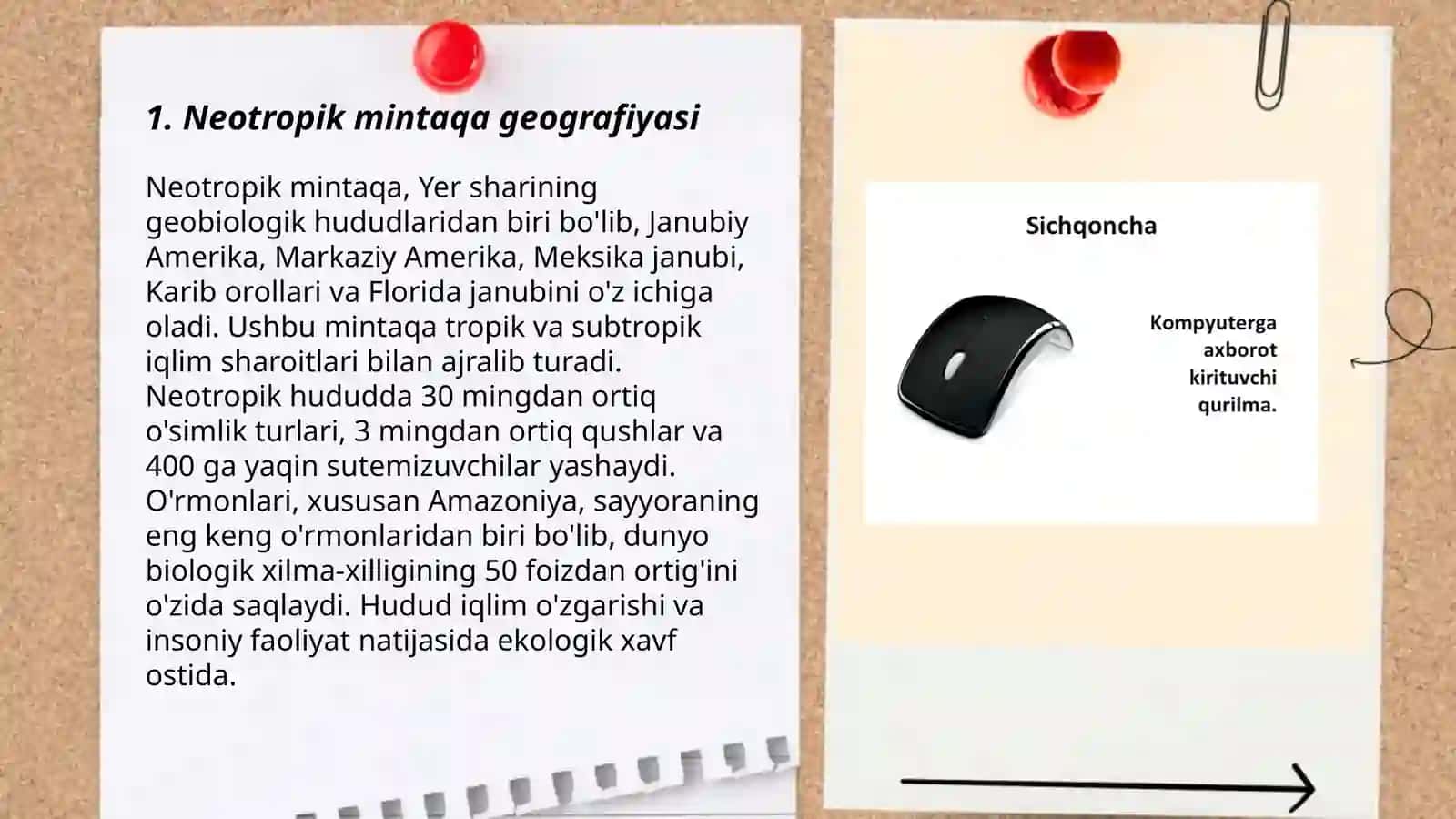 Neotropik mintaqa geografiyasi 3