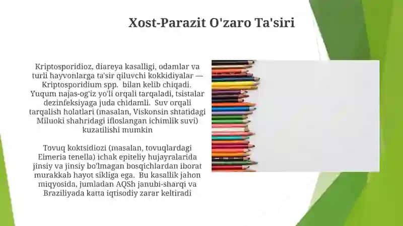 Sporalilar sinfi, koksidyalar turkumi 3