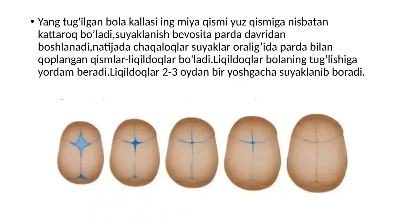 Kalla suyagi 3