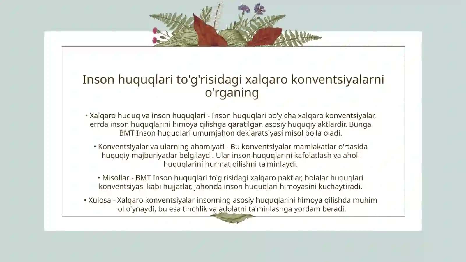 Xalqaro Inson Huquqlari Konventsiyalari 3