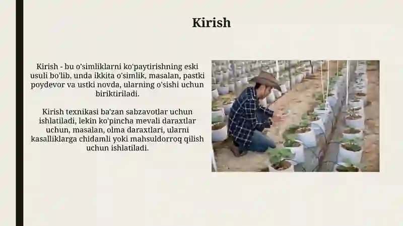 Ko'chat yetishtirishning zamonaviy usullari 3