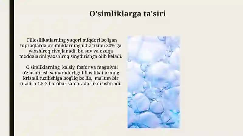 Fillosilikatlarning tuzilishi va xossalari 3