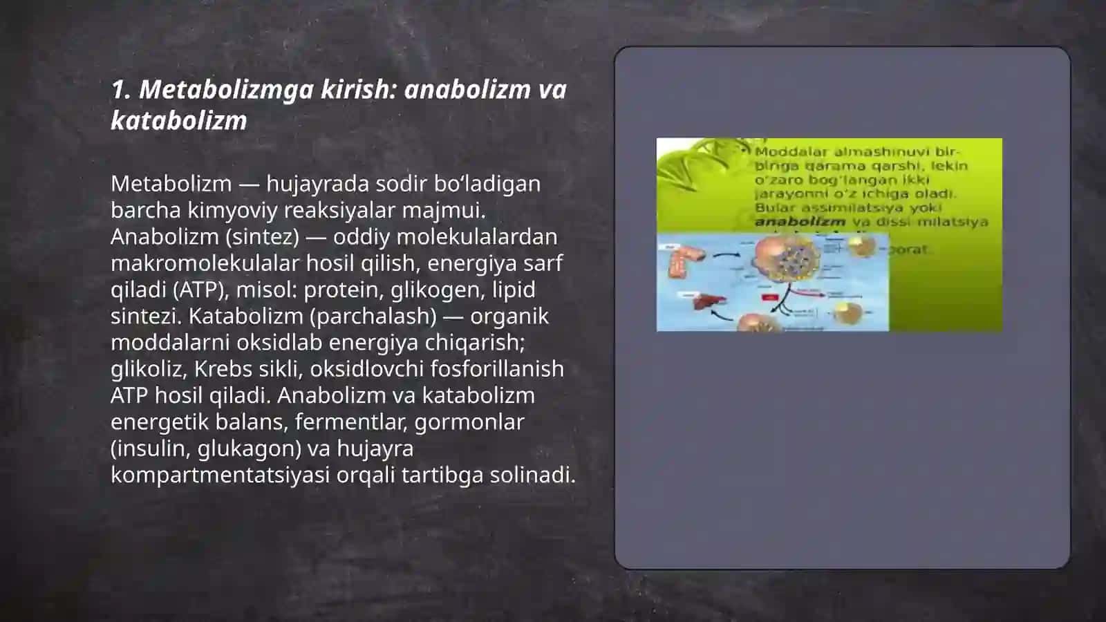 Metabolizm haqida tushuncha 3