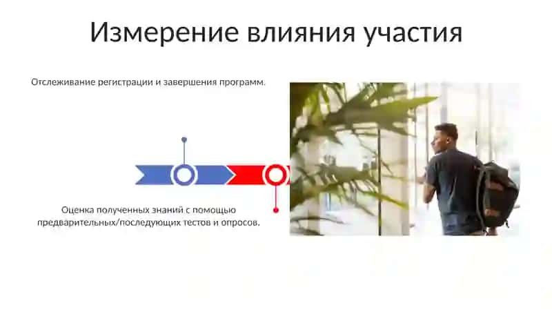 Основные и дополнительные профессиональные образовательные программы 3