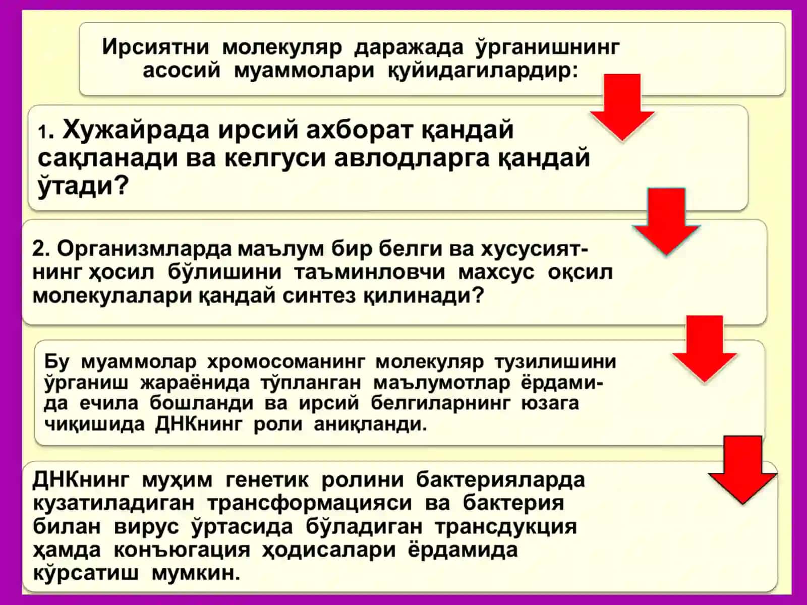 Молекуляр генетика 3