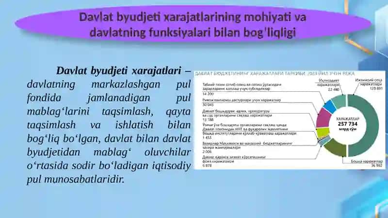 Davlat Byudjeti Xarajatlari Tizimi 3