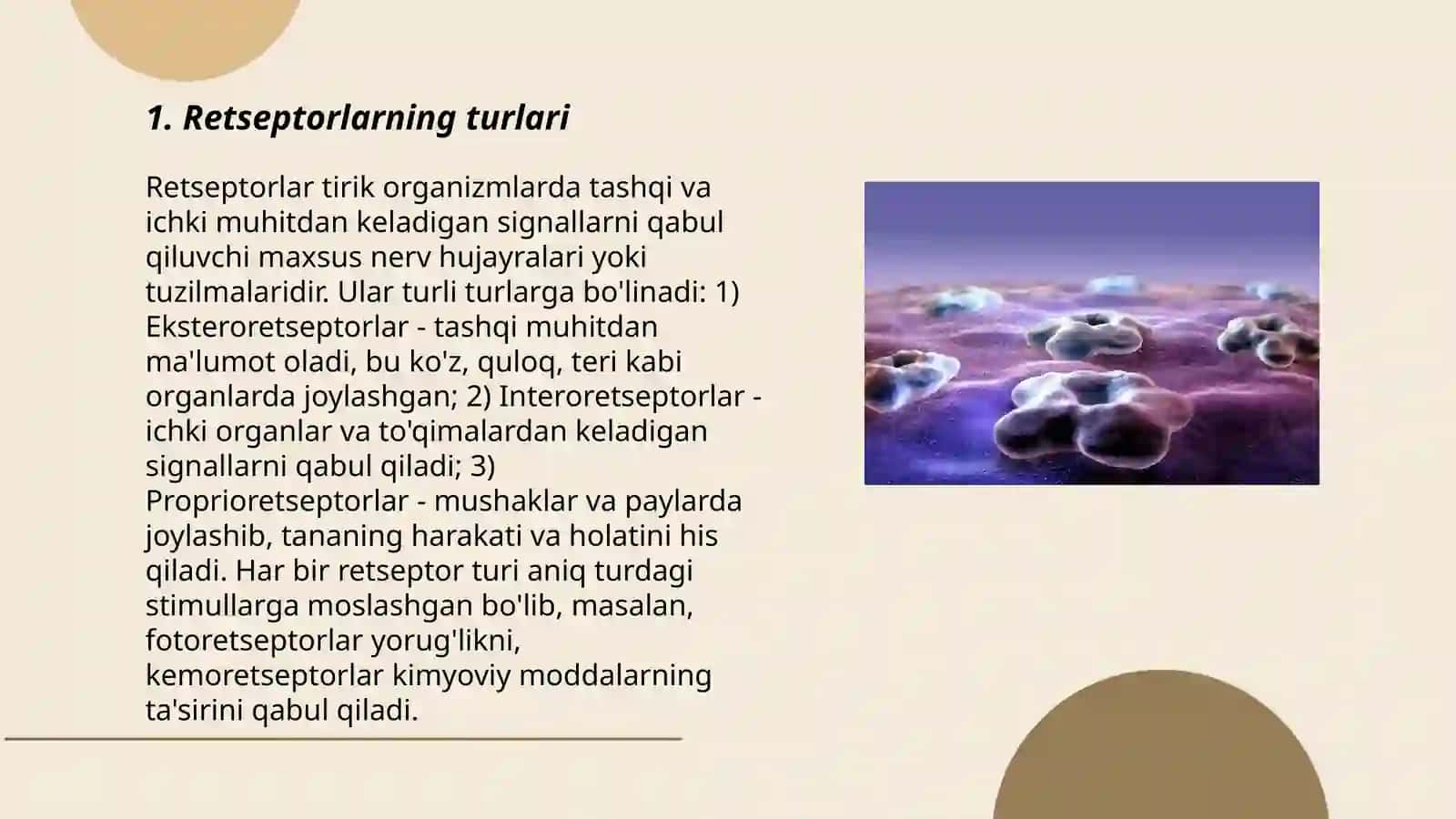 Retseptorlar 3