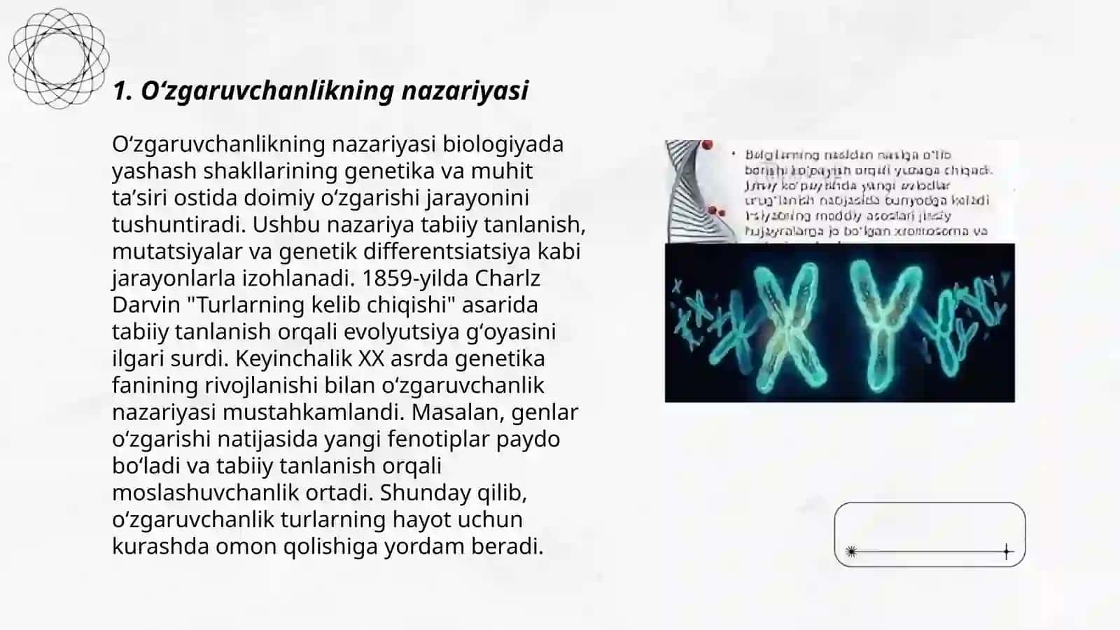 Oʻzgaruvchanlik va uning xillari 3