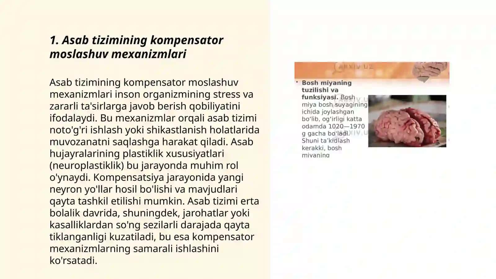 Asab tizimida kompensator moslashuvlar 3