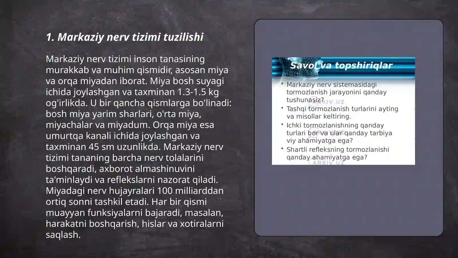 Markaziy nerv tizimi fiziologiyasi 3