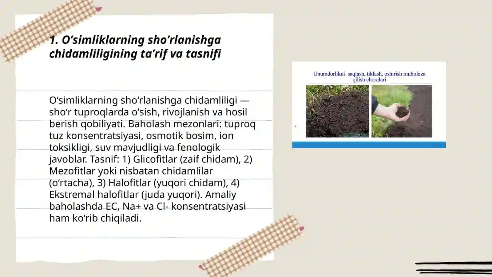 Oʼsimliklarni shoʼrlanishga chidamligi 3