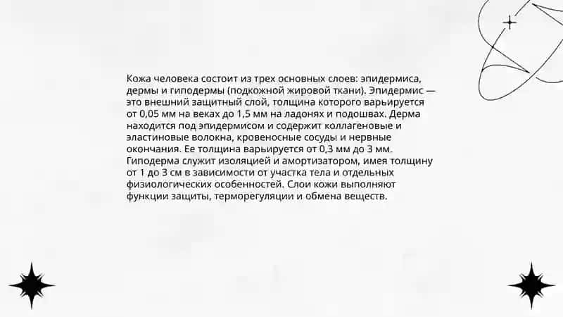 Строение кожи 3