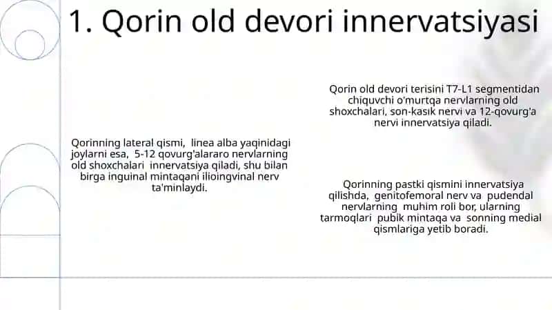 Qorin boshlig'i oldingi devori 3