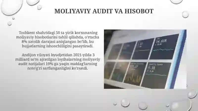 Davlat Moliya Nazorati 3