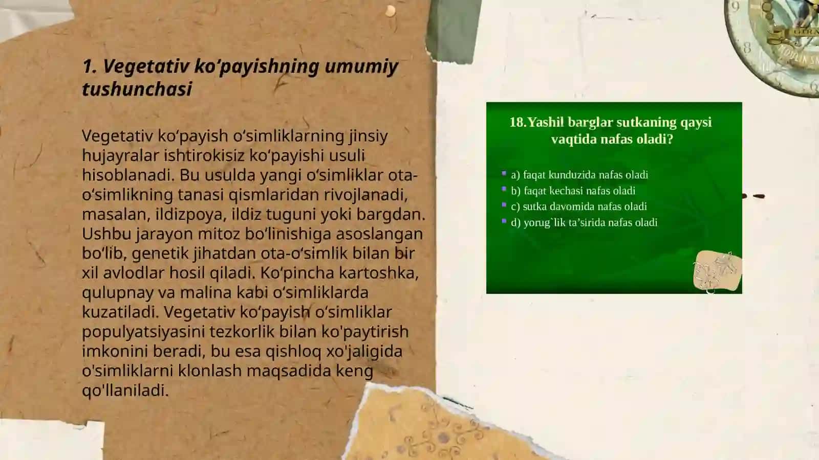 Vegetativ koʻpayish 3