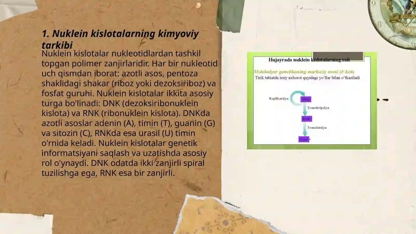 Nuklein kislotalarning kimyoviy tarkibi 3