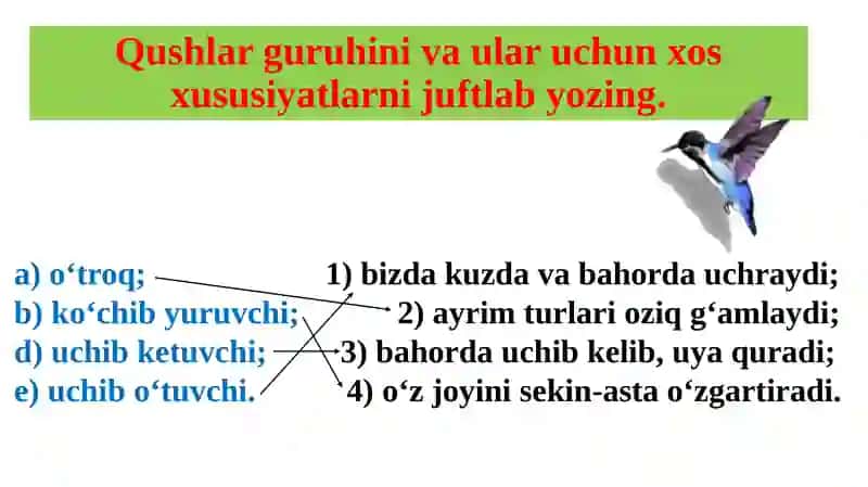 Qushlarning xilma-xilligi 3