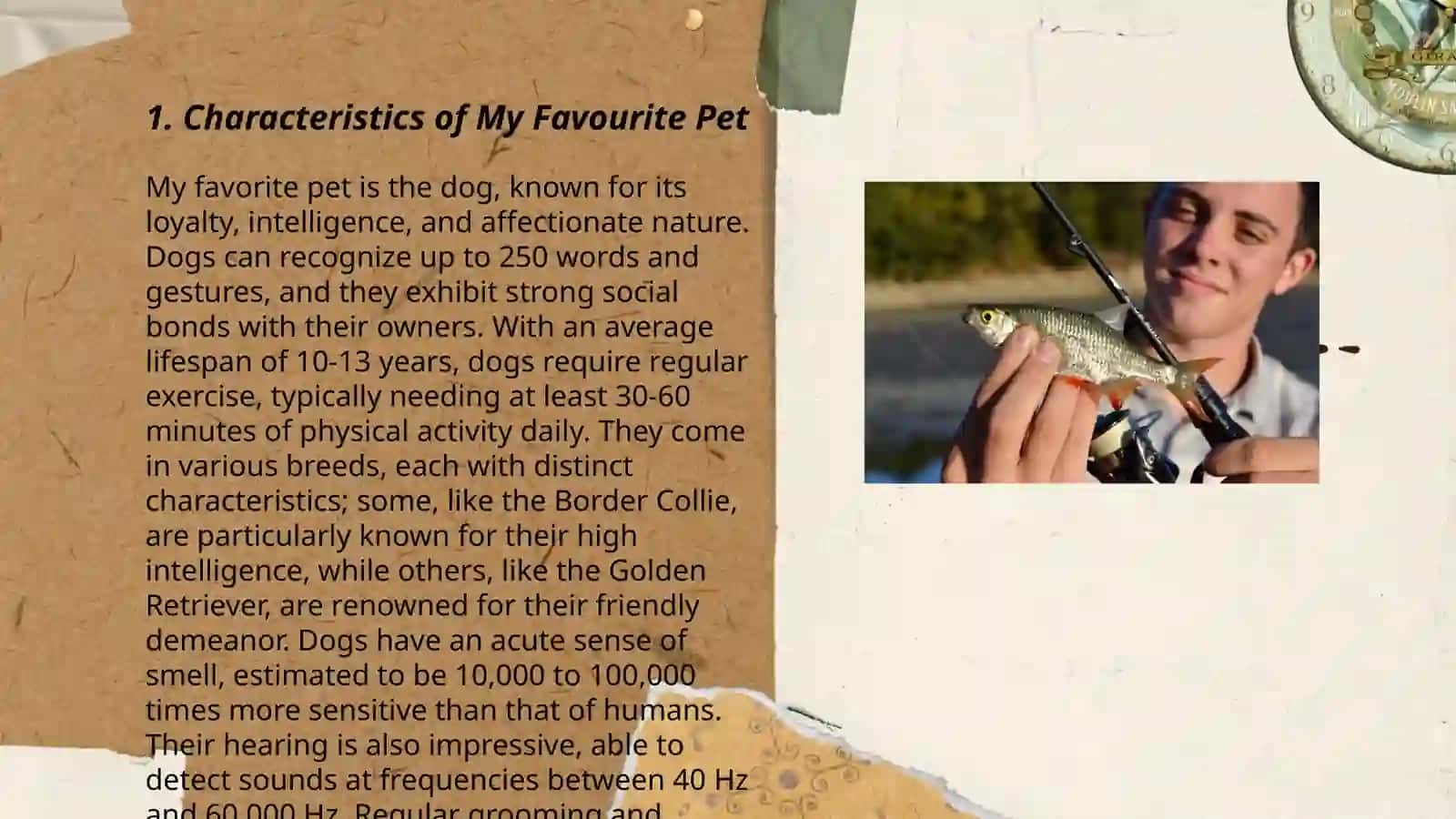 My Favourite Pet 3
