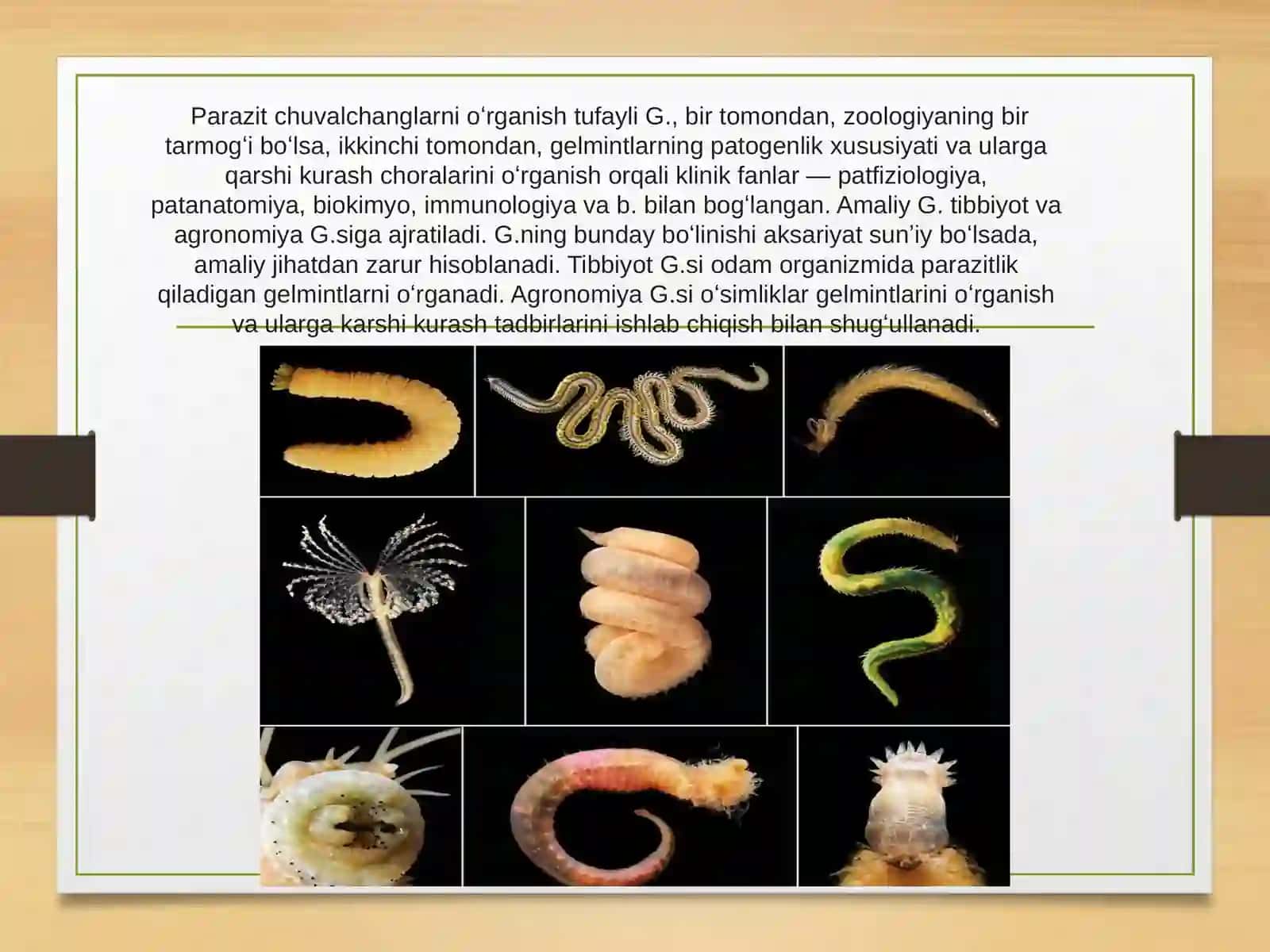 Gelmintologiya 3