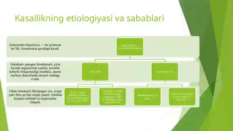 Amyobalidizenteriyavaularkeltiribchiqargankasalliklar,laboratortashhisi 3