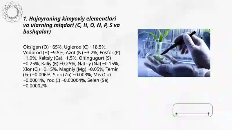 Hujayraning kimyoviy tuzilishi 3