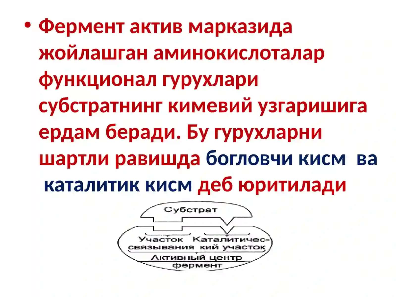 Ферментлар тузилиши ва хоссалари 3