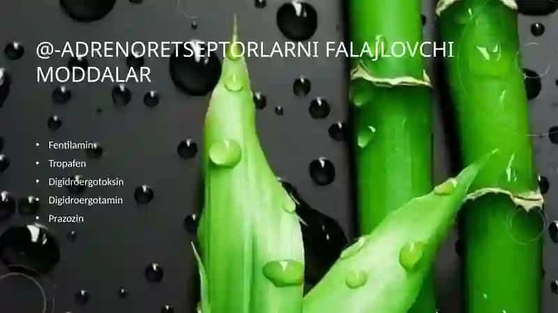 Adrenoblakatorlar va simpatolitiklar 3
