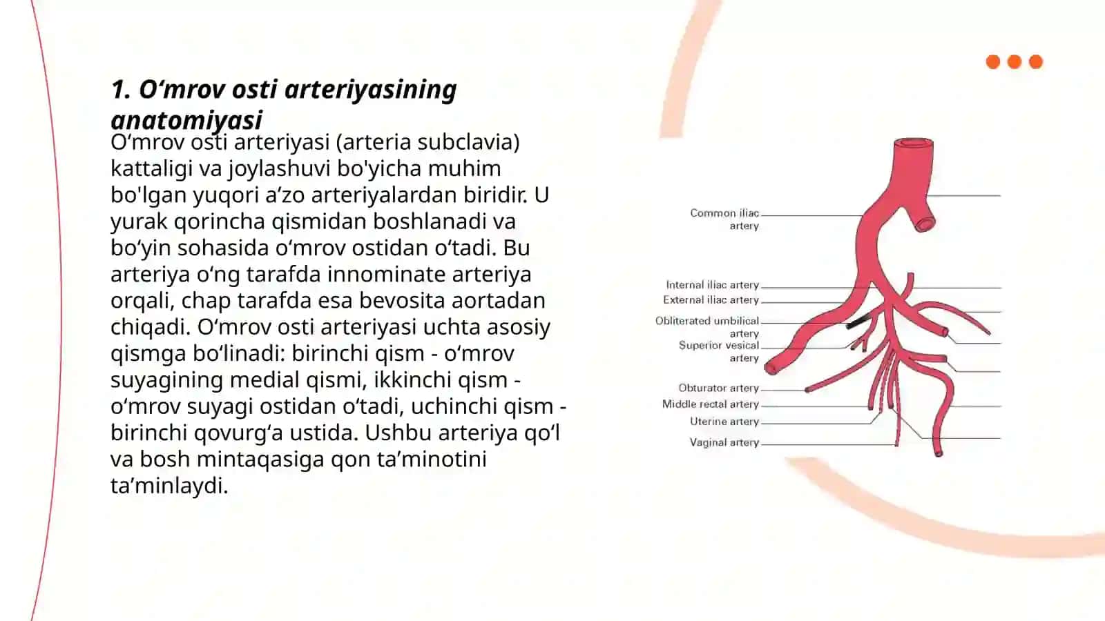 Oʻmrov osti arteriyasi 3