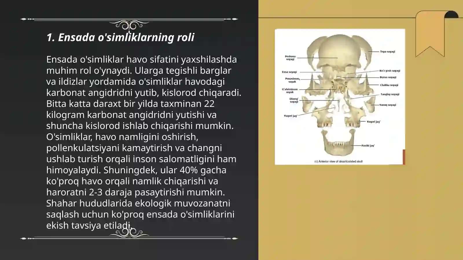 Ensada O'simliklarning Roli 3