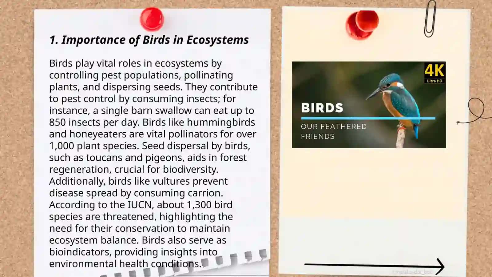 Importance of Birds in Ecosystems 3