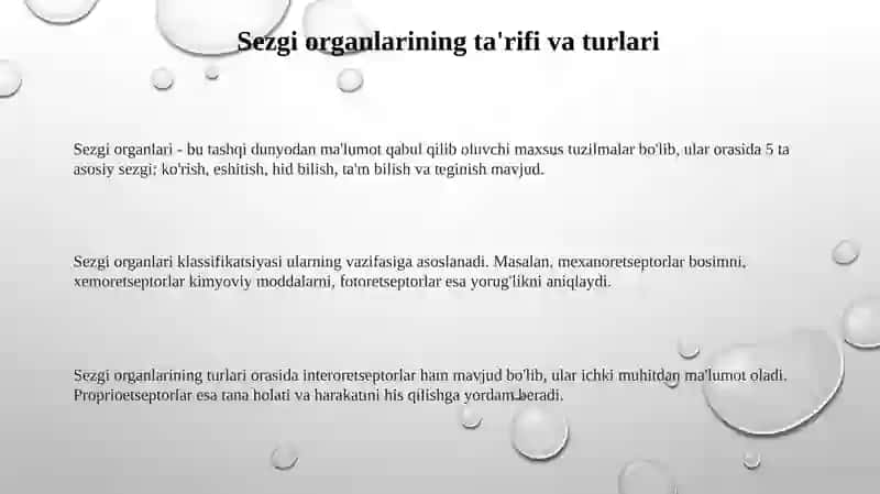 Sezgi organlari 3