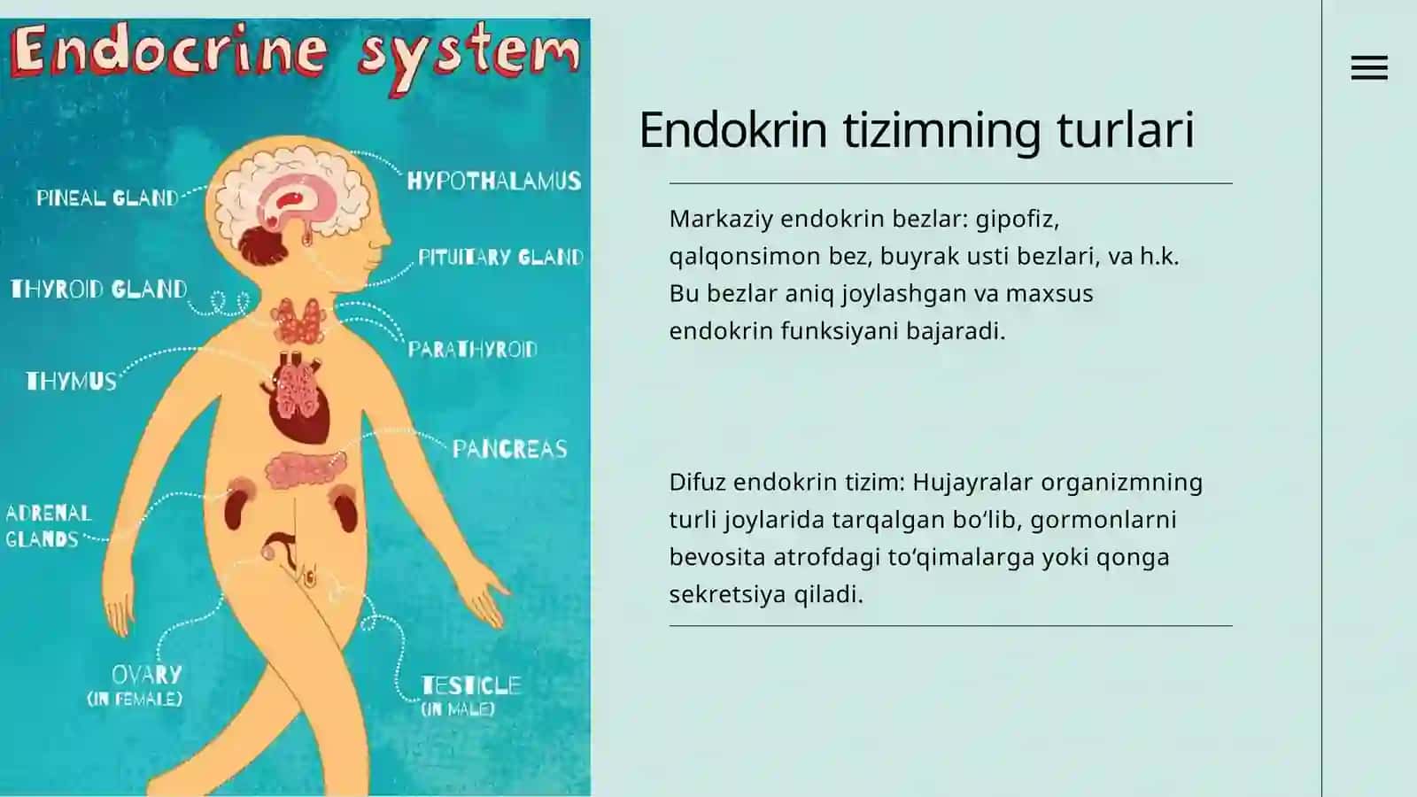 DifuzendokrintizimvaAPUDtizimihujayralari 3