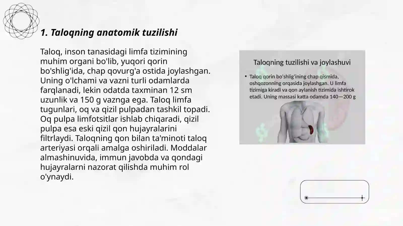Anatomiya fanidan taqdimot 3
