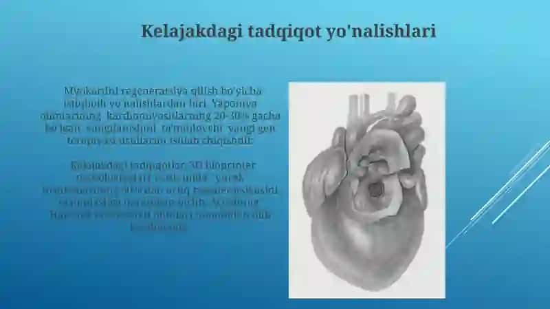 Yurak mushagi regeneratsiyasi 3