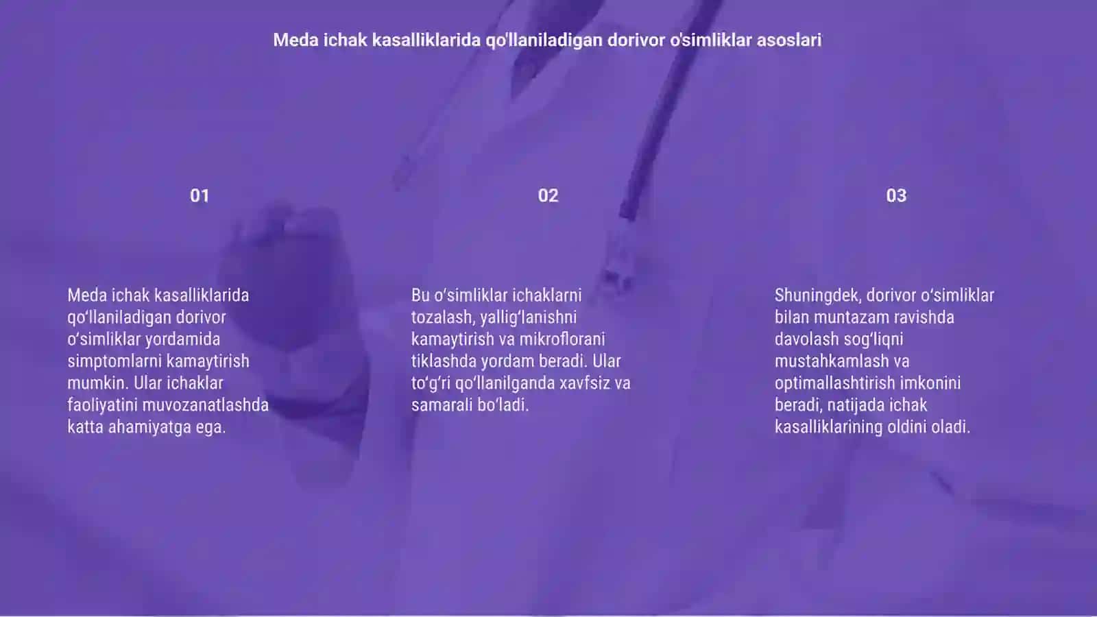 Meda ichak Teri kasalliklarida qo'lqniladigan dorivor o'simliklar 3