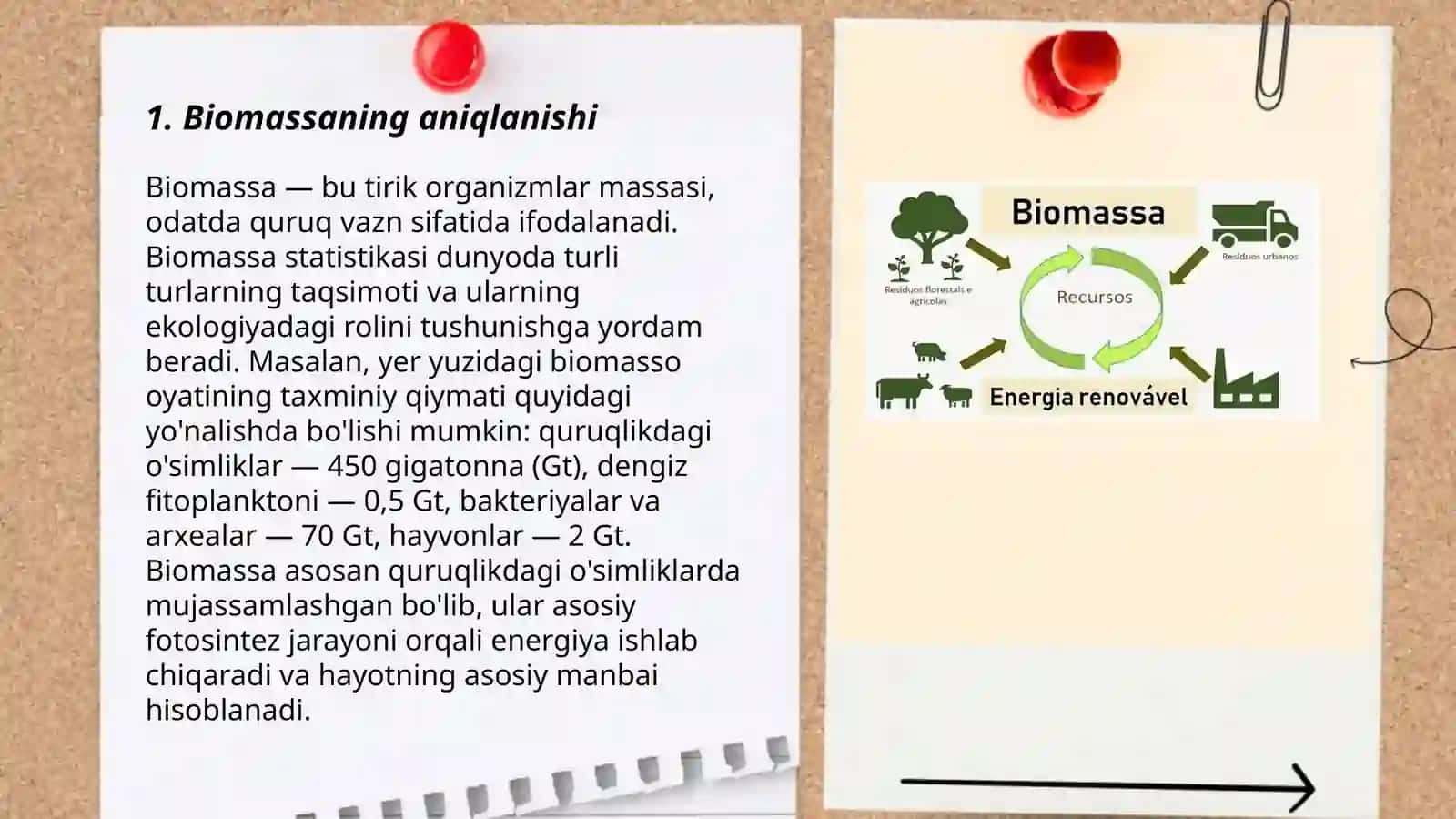 Biomassa va uning tarqalishi 3