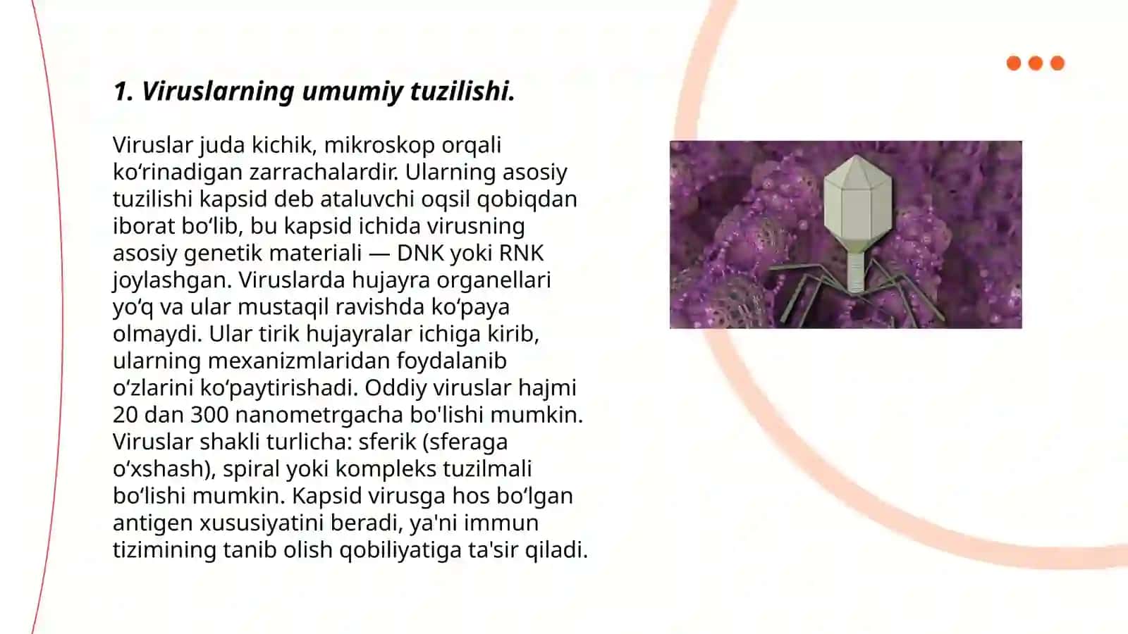 Virus tuzilishi va farqlari 3