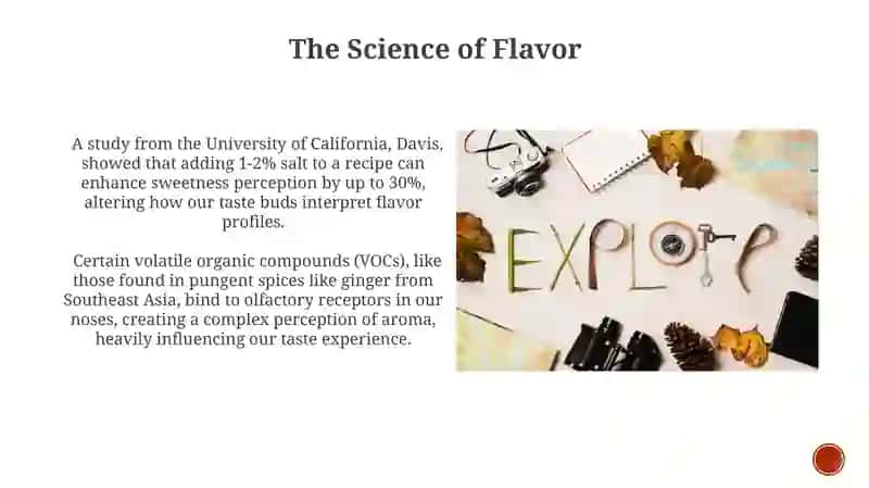 Exloring the world of cooking 3
