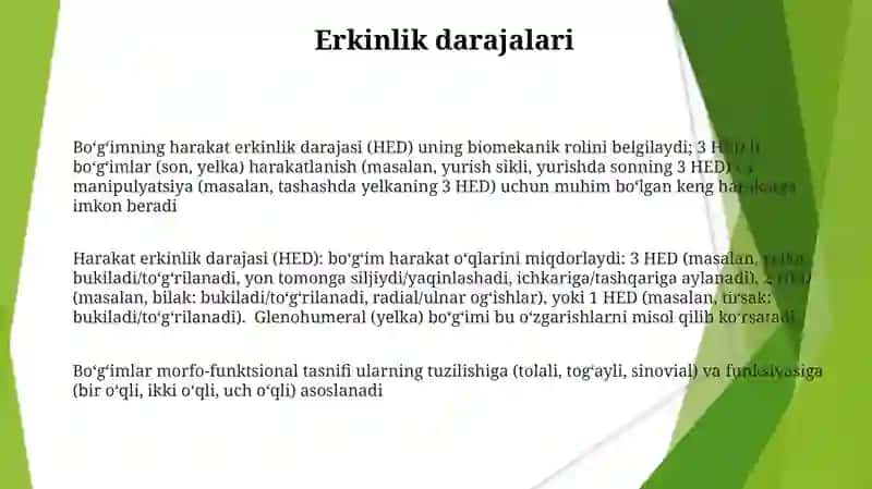 Tam bilish azosining morfofunksional tasnifi 3