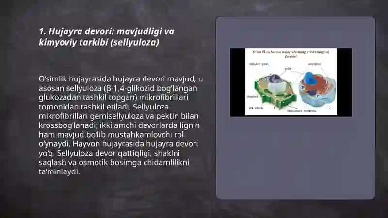 Hayvon va o‘simlik hujayrasining farqlari 3