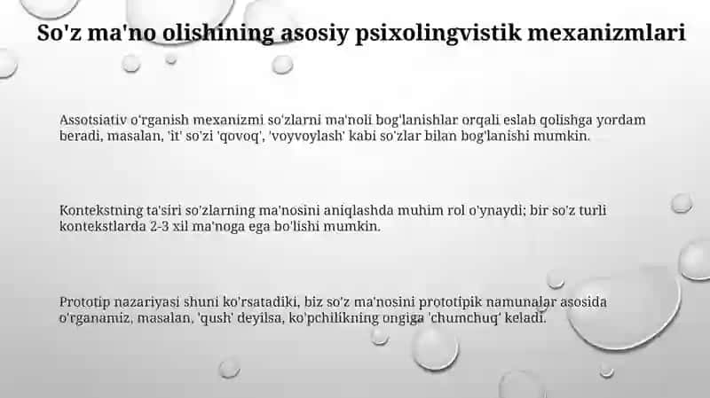 SO‘Z MA’NOSINI O‘ZLASHTIRISHNING PSIXOLINGVISTIK ASOSLAR 3