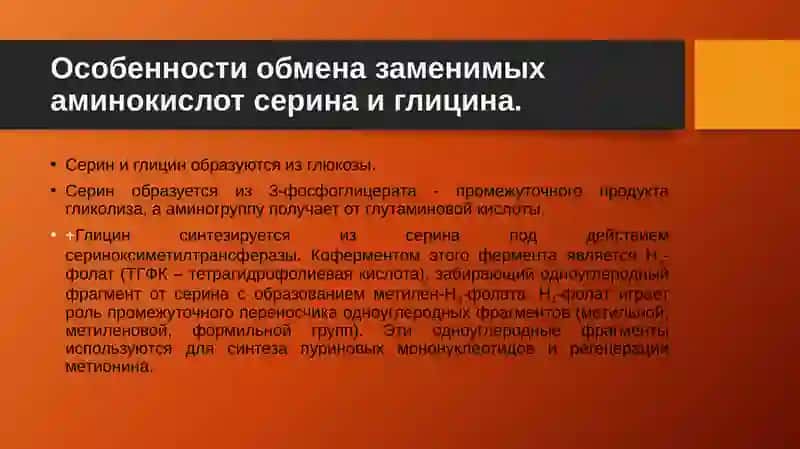 Обмен отдельных аминокислот 3