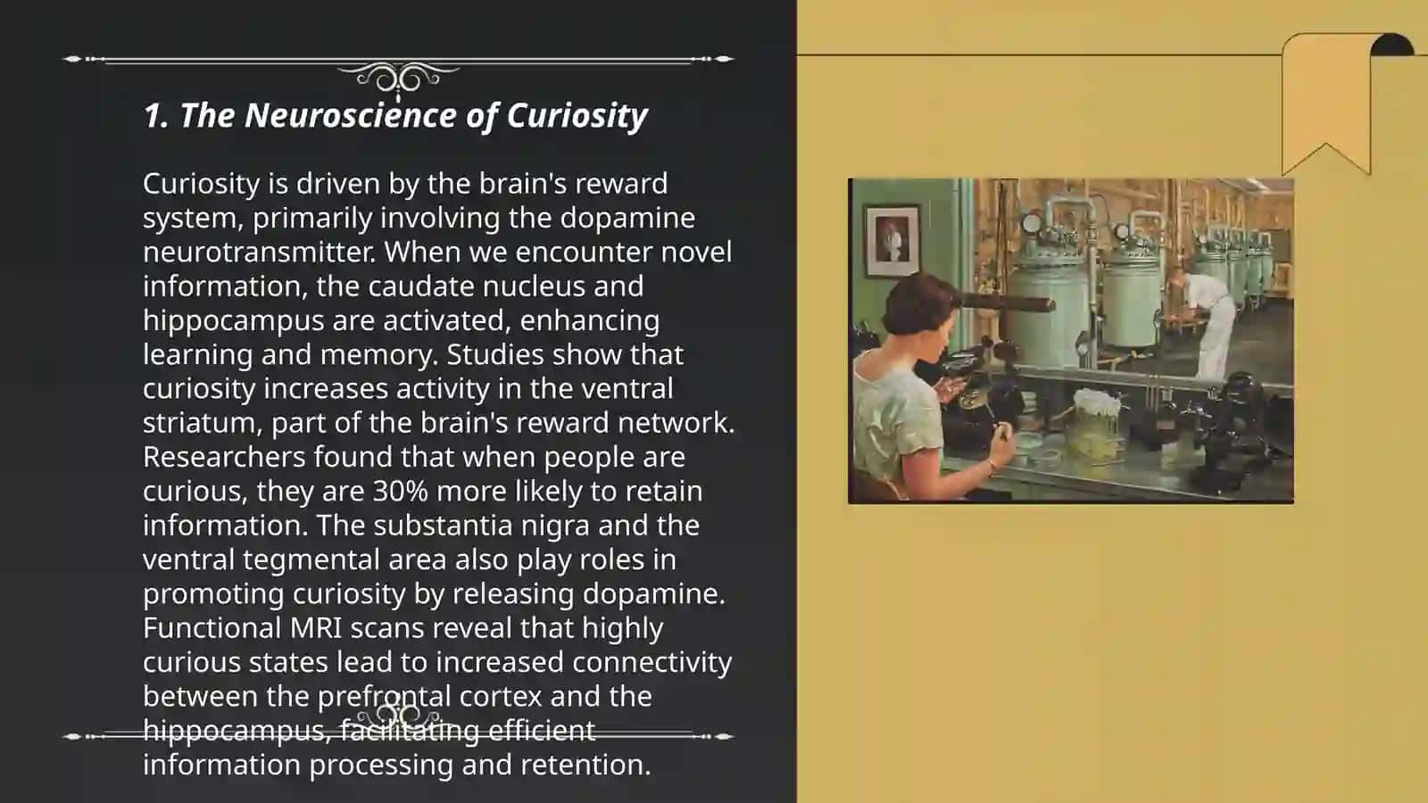 The Neuroscience of Curiosity 3