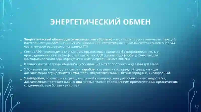 Энергетический обмен 3
