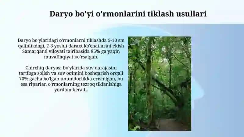 Daryo bo'yi o'rmonlarini tiklash usullari 3