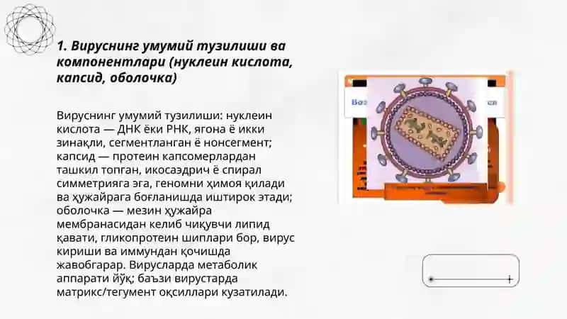Умумий вирусология 3
