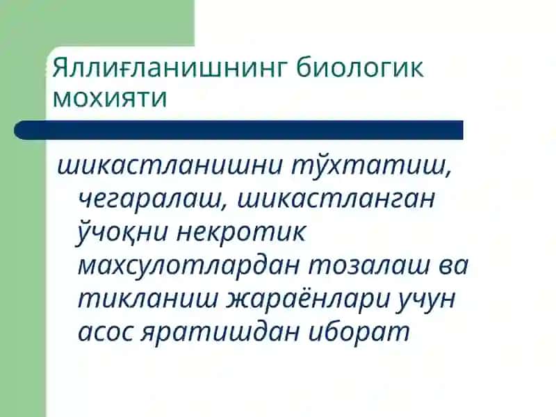 Яллиғланиш патофизиологияси 3