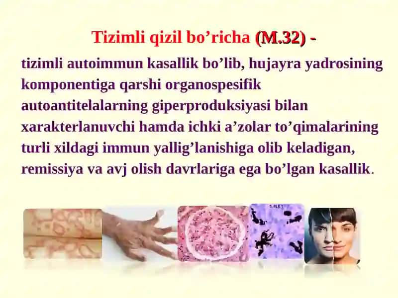 TIZIMLI QIZIL BO’RICHA 3